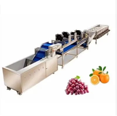 Máquina de classificação de frutas e vegetais